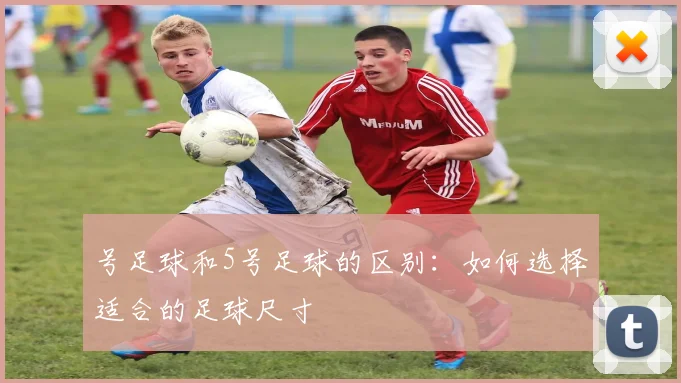 号足球和5号足球的区别:如何选择适合的足球尺寸