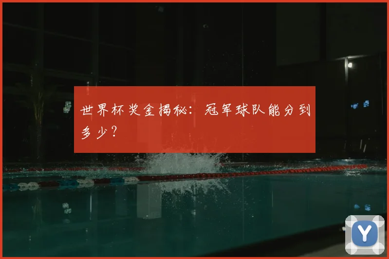 世界杯奖金揭秘:冠军球队能分到多少?